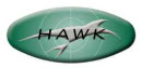 Full Bright 福宮通商：英國 Vision 投影機 - HAWK